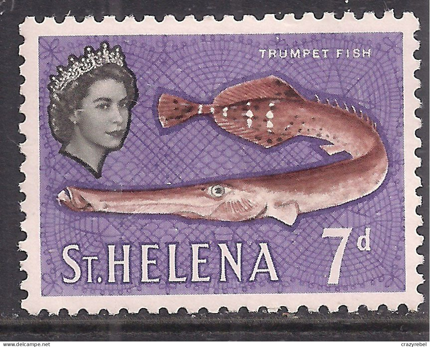 St Helena 1961 QE2 7d Trumpet Fish MM SG 182 ( A615 ) - Saint Helena Island