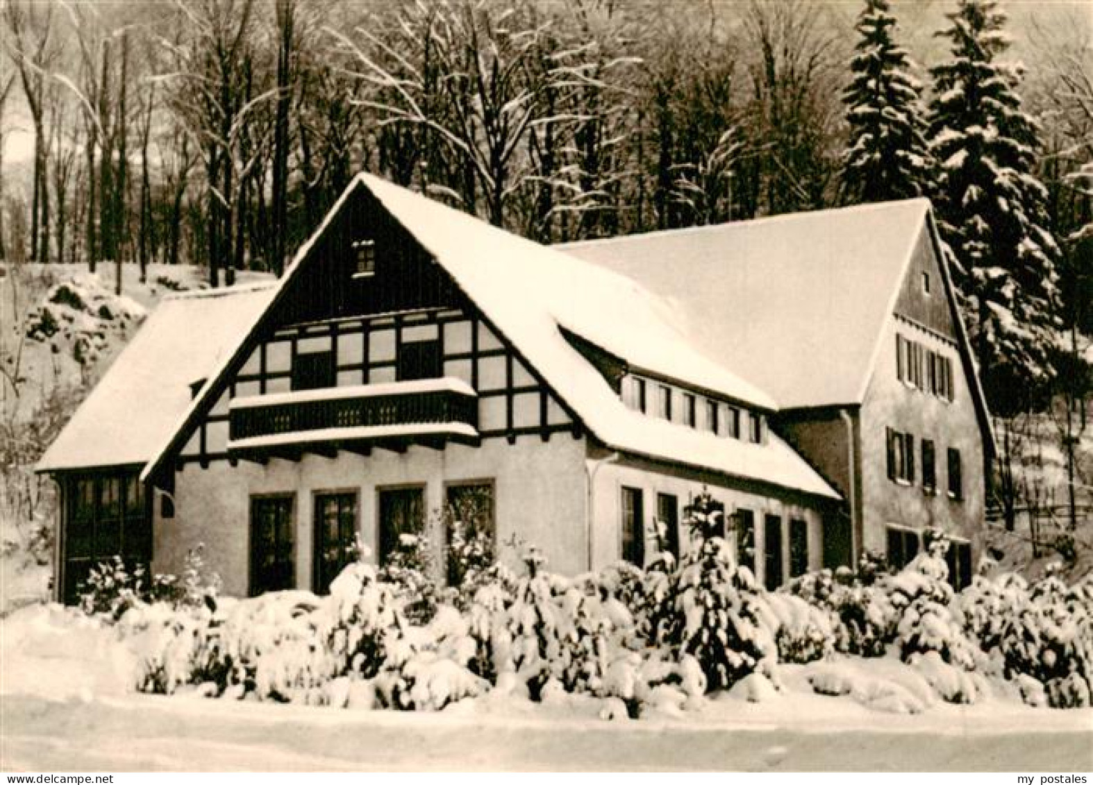 73878525 Warstein Waldhotel Tropfsteinhoehle Mit Wild-Freigehege Im Winter Warst - Warstein