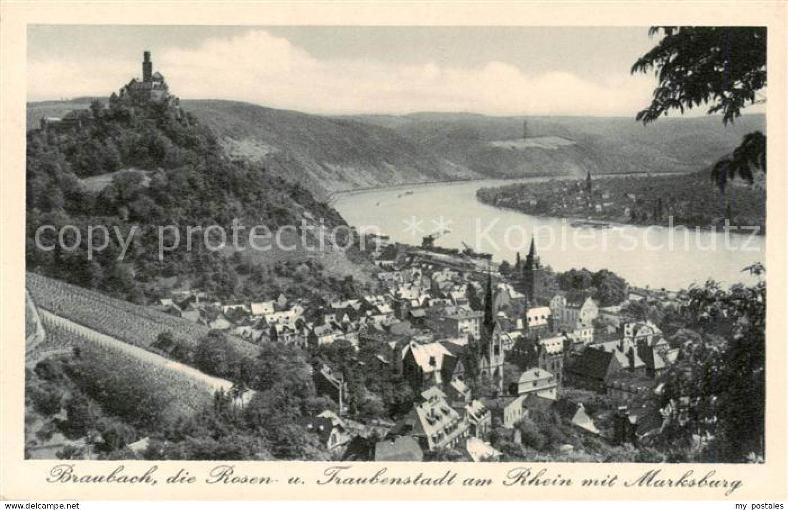 73810751 Braubach Rhein Rosen Und Traubenstadt Mit Der Marksburg Braubach Rhein - Braubach