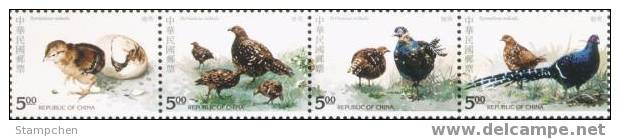 1993 Taiwan Bird - Mikado Pheasant Stamps Egg Hatch Fauna Brood - Gallinacées & Faisans