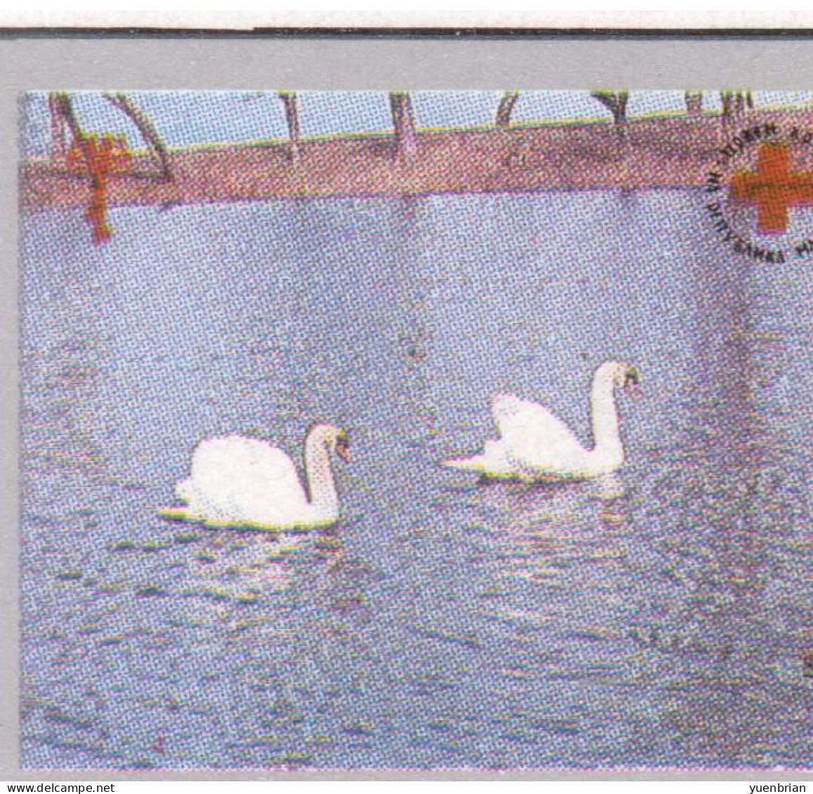 Macedonia 1994, Bird, Birds, Swan, Mushroom, Anti-cancer Week, Set Of 4v, MNH** - Cisnes