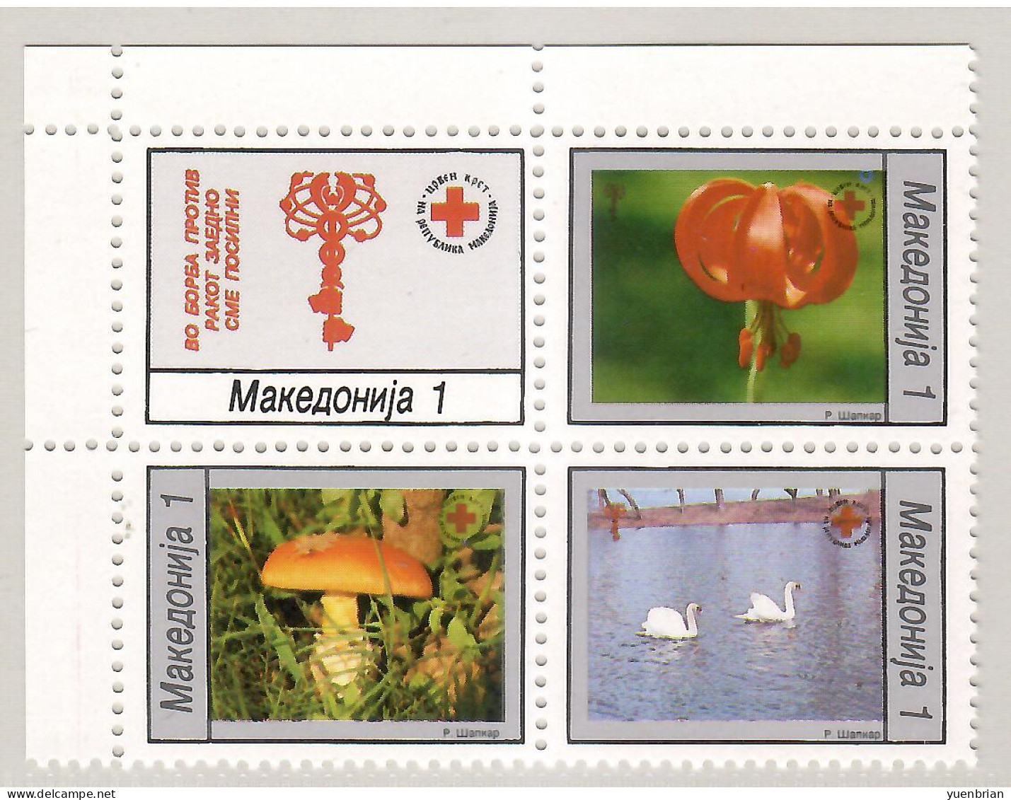 Macedonia 1994, Bird, Birds, Swan, Mushroom, Anti-cancer Week, Set Of 4v, MNH** - Swans