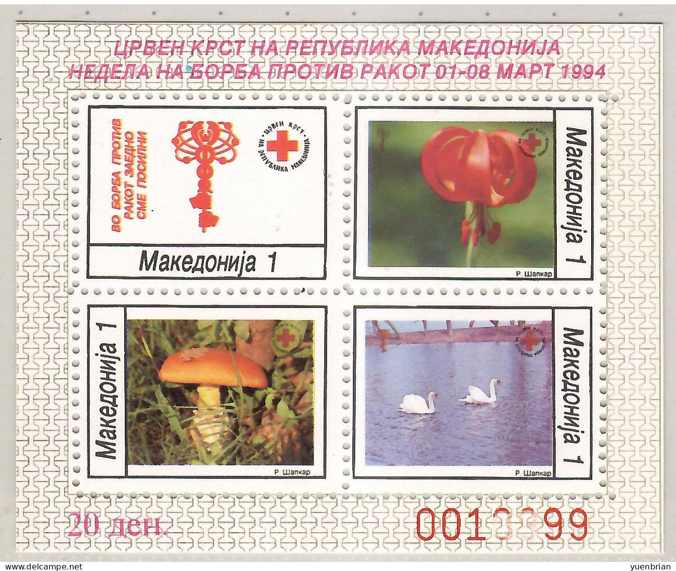 Macedonia 1994, Bird, Birds, Swan, Mushroom, Anti-cancer Week, M/S Of 4v, MNH** - Zwanen