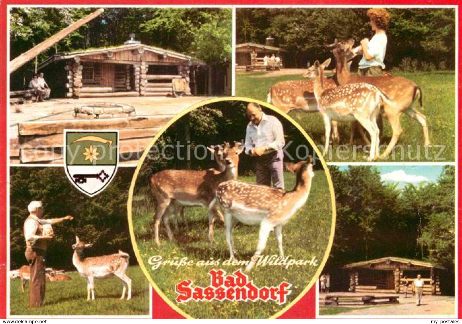 72744915 Bad Sassendorf Freiherr Von Wintzigerode Wildpark Rehkitz Blockhaus Wal - Bad Sassendorf