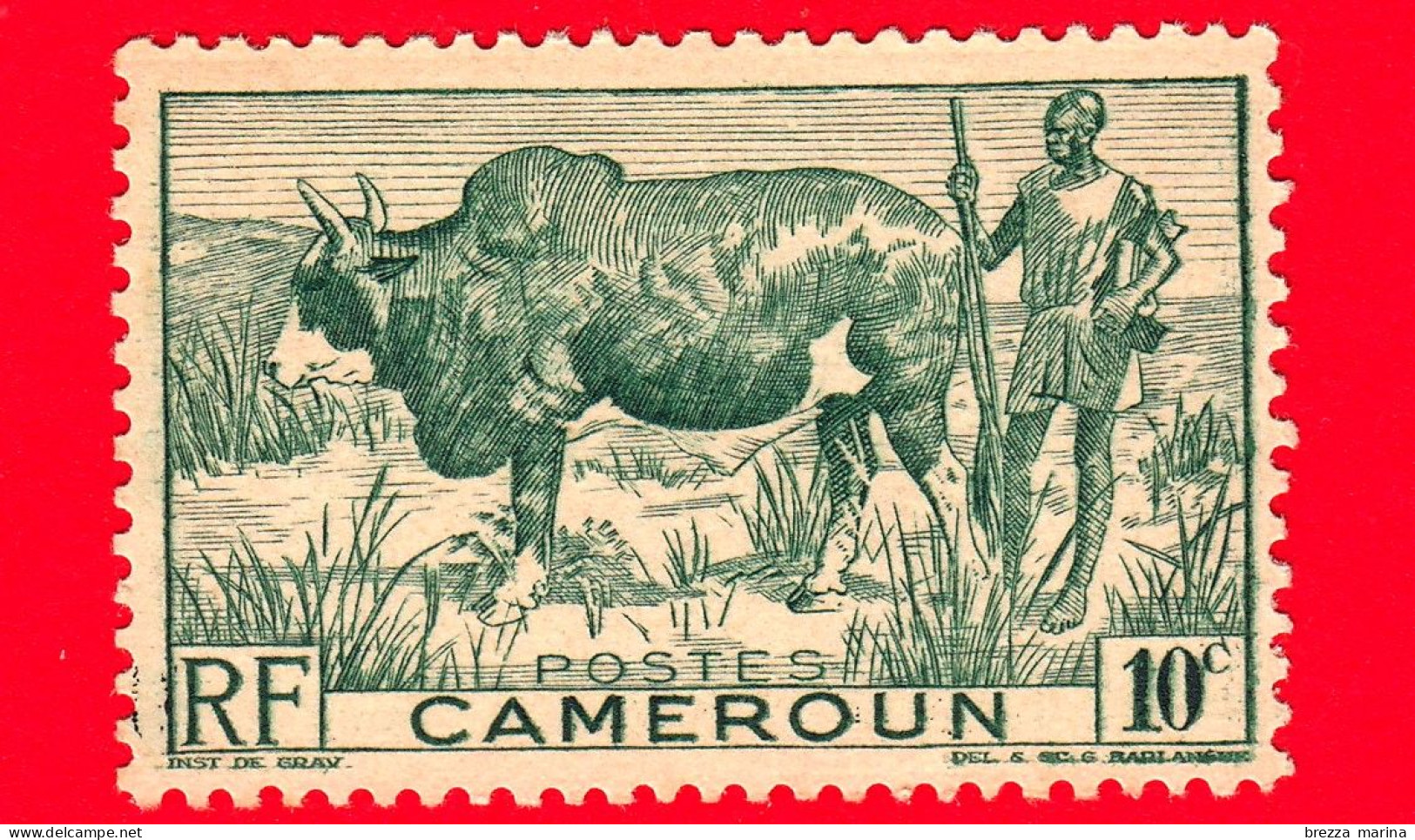 CAMERUN - Usato - 1946 - Vita Locale - Bestiame -  Zebù (Bos Primigenius Indicus), Pastore - 10 - Used Stamps