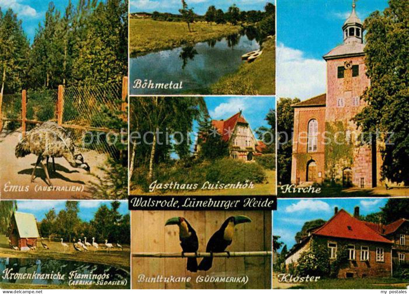 72742245 Walsrode Lueneburger Heide Vogelpark Rieselbach Ziergefluegelfarm Kirch - Walsrode