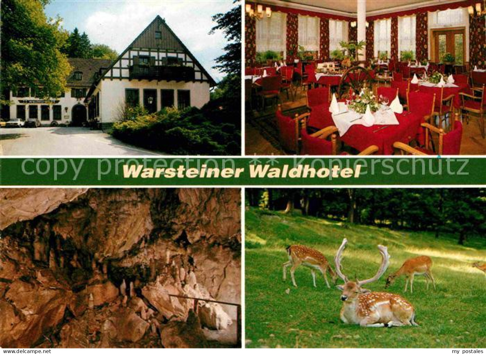 72741195 Warstein Warsteiner Waldhotel Restaurant Tropfsteinhoehle Damwild Warst - Warstein