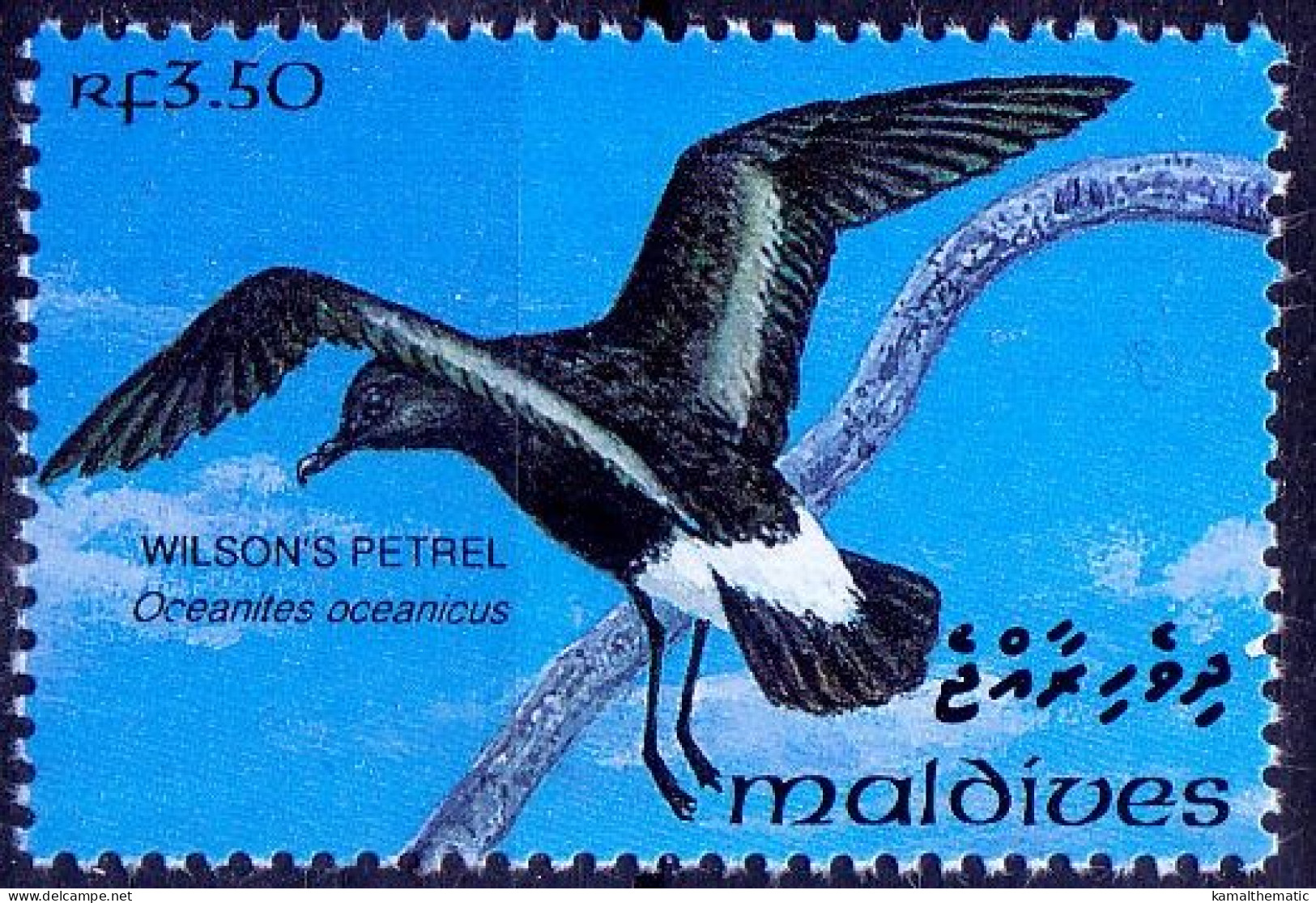 Maldives 1993 MNH, Wilsons Petrel, Water Birds - Palmípedos Marinos