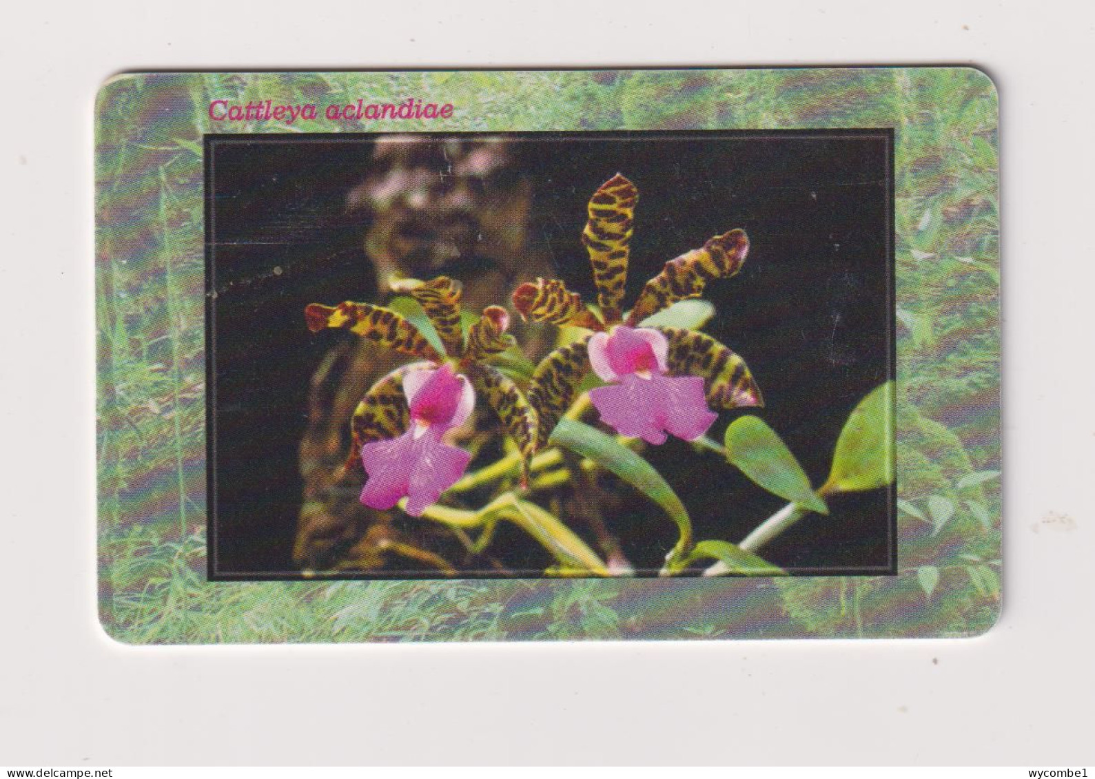 CZECH REPUBLIC - Orchids Chip Phonecard - Czech Republic