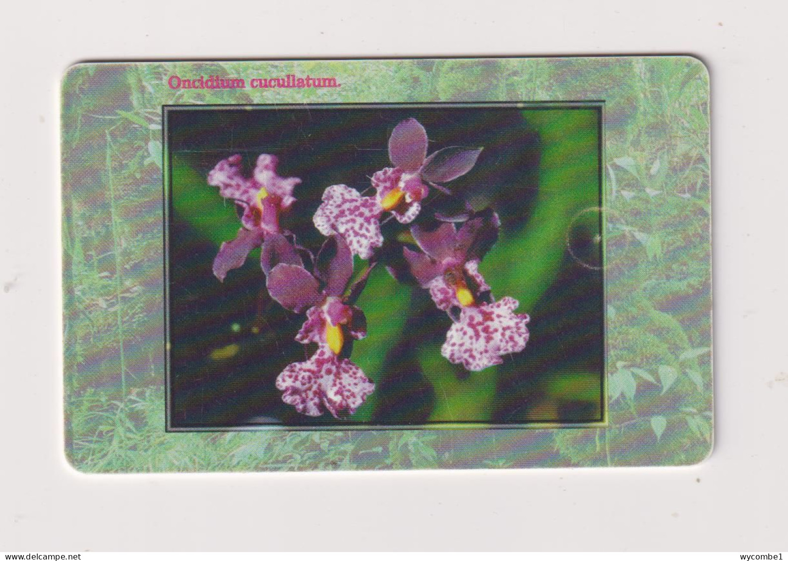 CZECH REPUBLIC - Orchids Chip Phonecard - Tchéquie