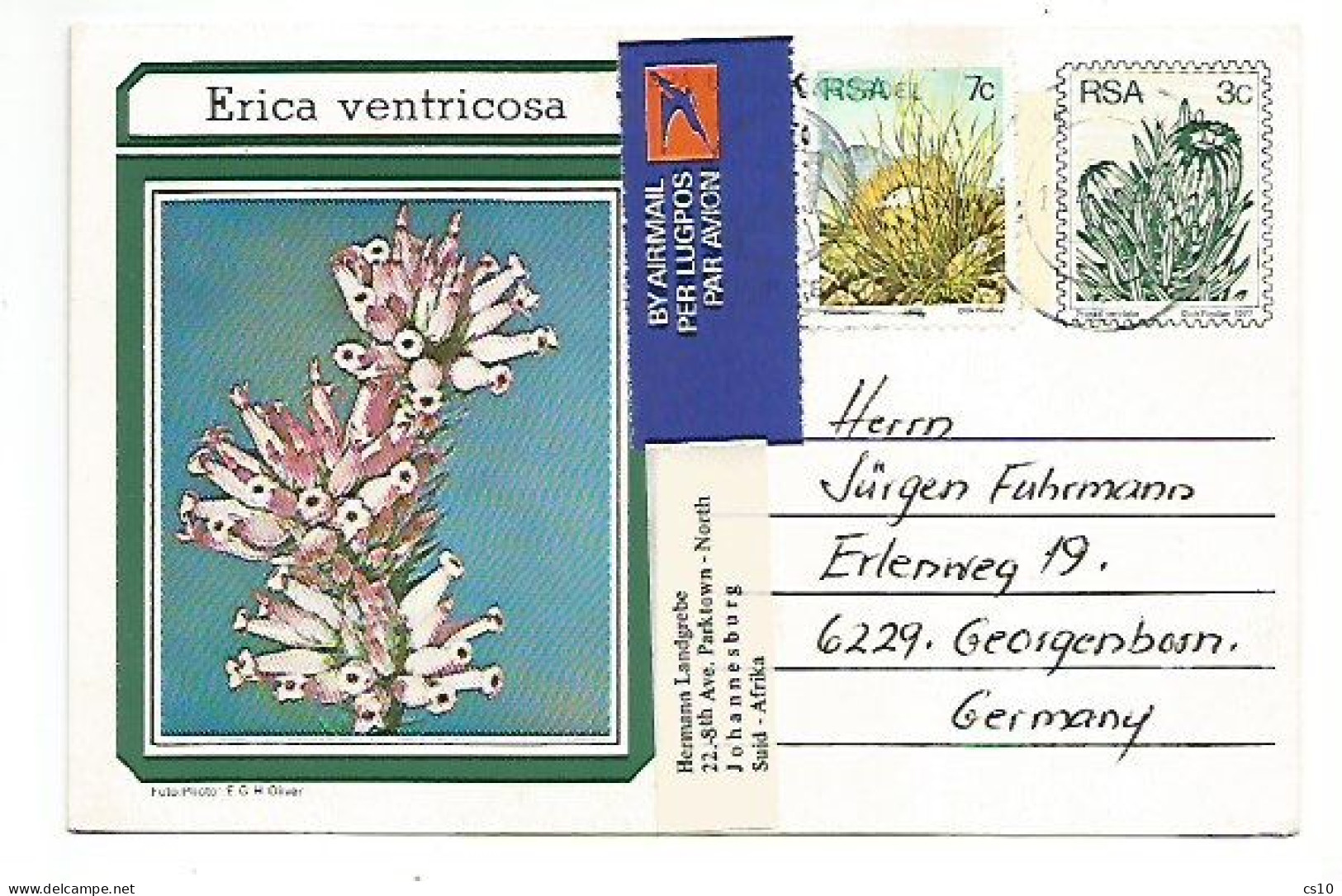 South Africa PSC Plants Trees  C3 Erica Ventricosa Uprated Airmail Rate With C7 Johannesburg 10apr1978 X Germany - Légumes