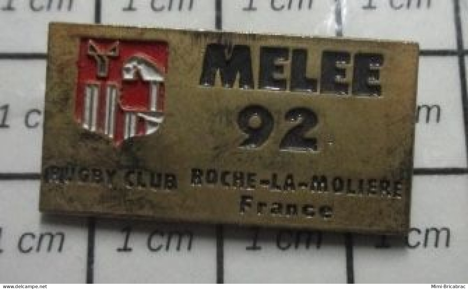 713K  Pin's Pins / Beau Et Rare / SPORTS / RUGBY CLUB MELEE 92 ROCHE LA MOLIERE - Rugby