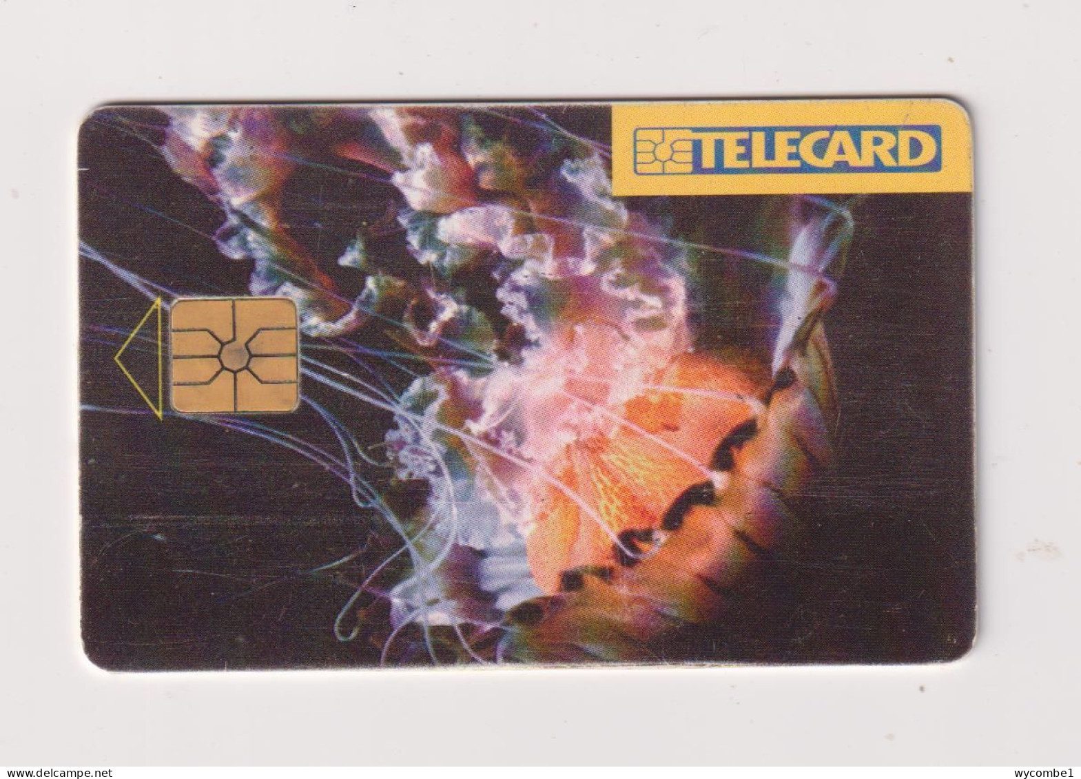 CZECH REPUBLIC - Jellyfish Chip Phonecard - Tschechische Rep.