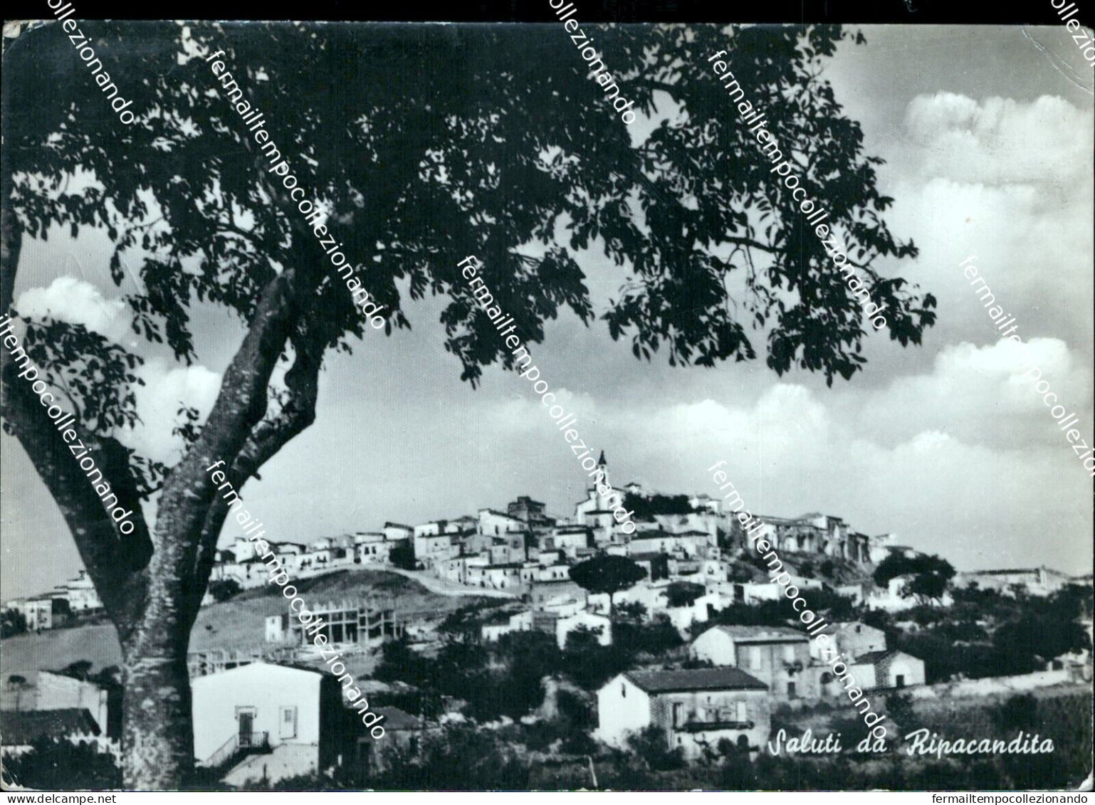 Bz749 Cartolina  Saluti Da Armento Provincia Di Potenza Basilicata - Potenza