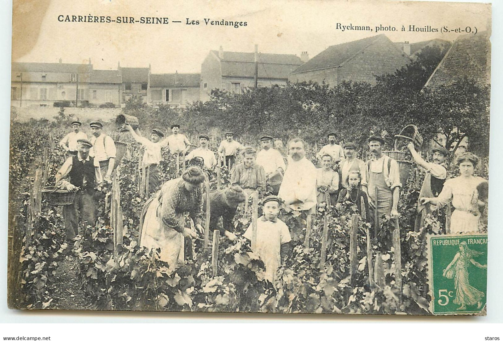 CARRIERES SUR SEINE - Les Vendanges - Rykman Photo Houilles - Carrières-sur-Seine