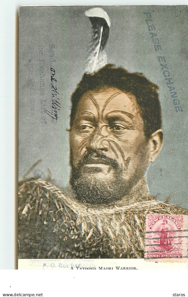NOUVELLE ZELANDE - A Tatooed Maori Warrior - Tatouages - New Zealand