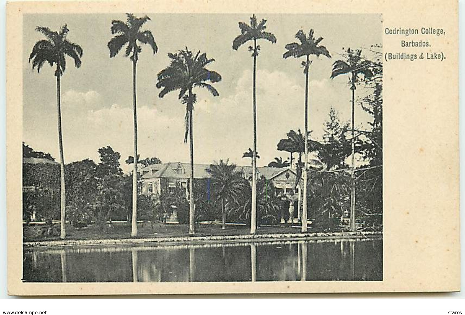 Antilles - Codrington College (Buildings & Lake) - BARBADOS - Barbades