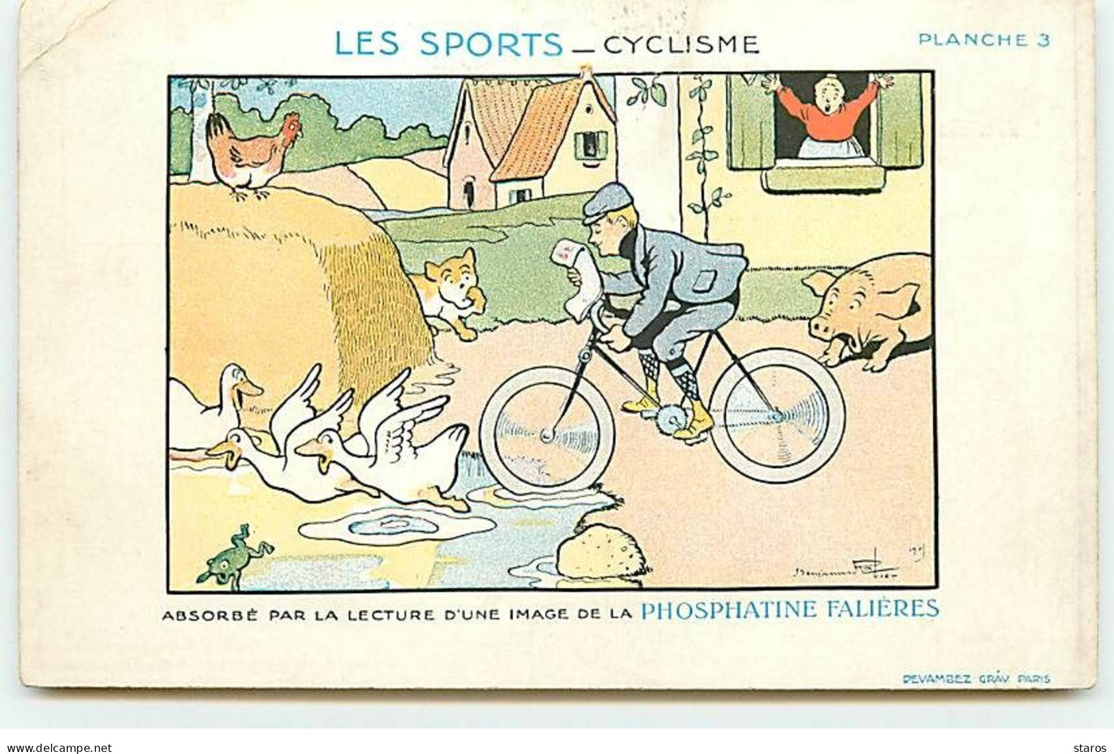Illustrateur - B. Rabier - Les Sports - Cyclisme - Phosphatines Falières - Planche N°3 - Cochon - Grenouille - Rabier, B.