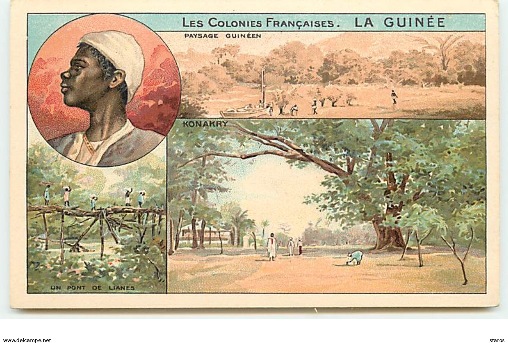 Les Colonies Françaises : La Guinée - Paysage Guinéen (Multi-vues) - Publicité Phoscao - Guinée Française
