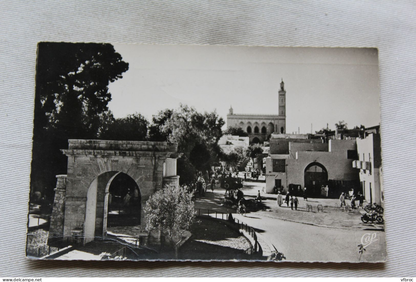 Cpsm 1958, Laghouat, Le Monument Aux Morts Et La Mosquée, Algérie - Laghouat