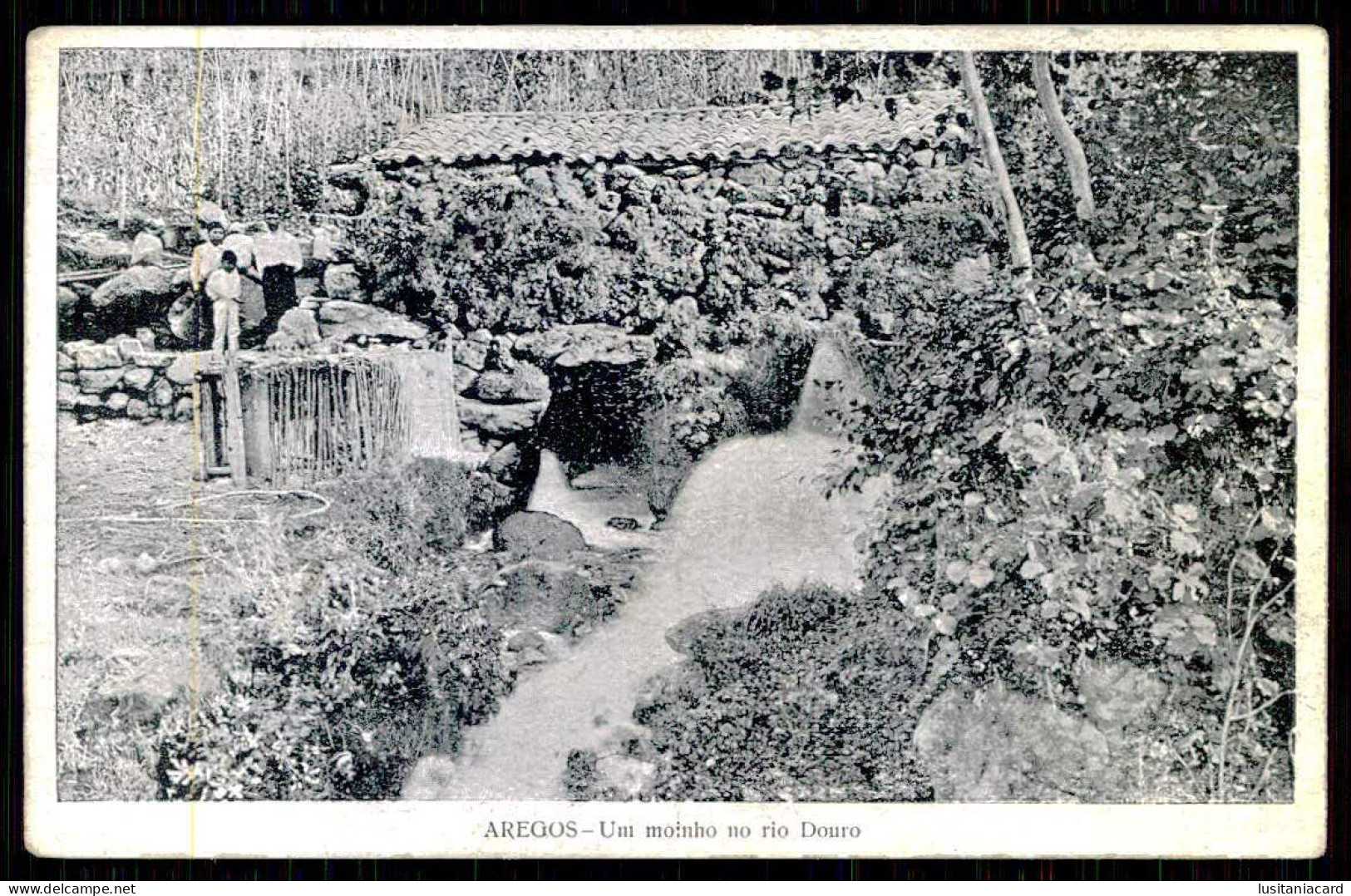 RESENDE- CALDAS DE AREGOS - AZENHAS - Um Moinho No Rio Douro. ( Ed. Tip. Costa Carregal)carte Postale - Viseu