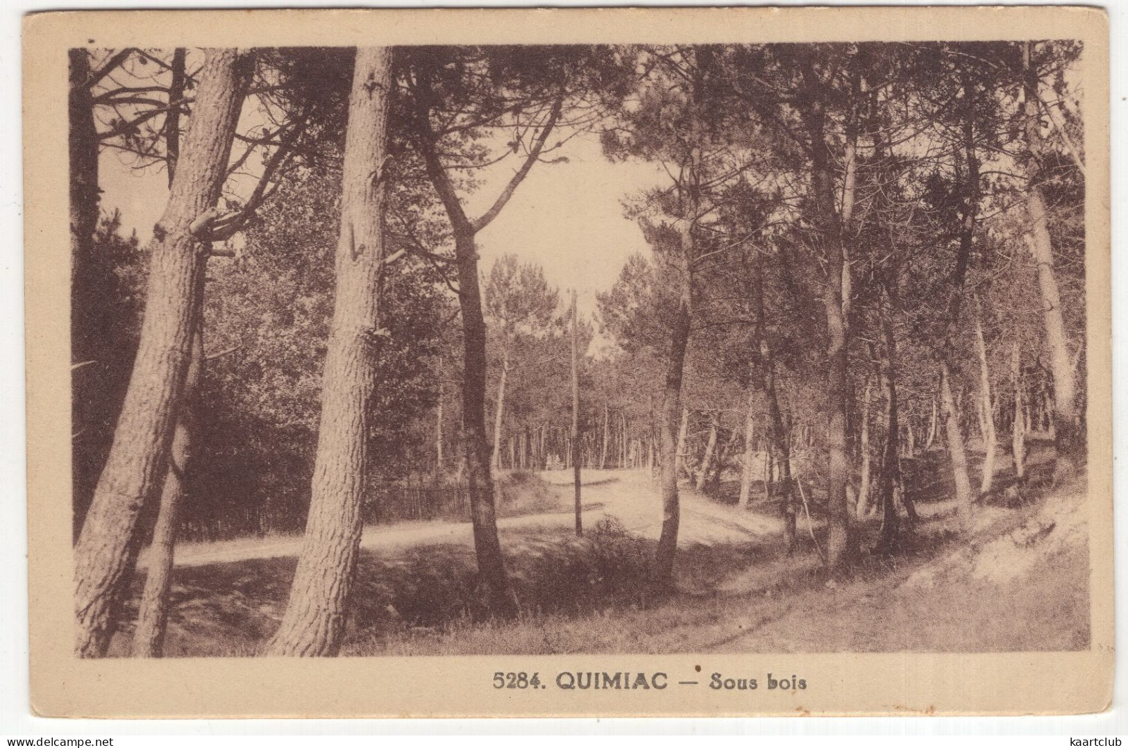 5284.  Quimiac - Sous Bois - (France) - Mesquer Quimiac
