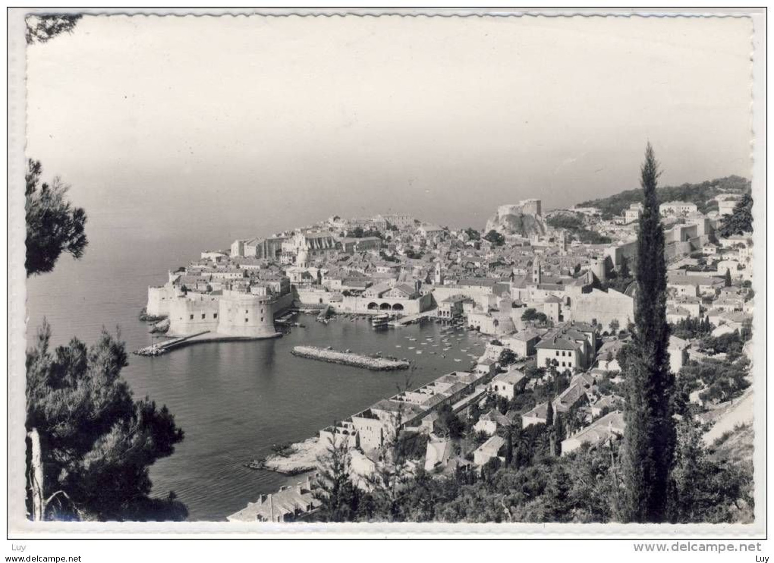 DUBROVNIK, RAGUSA  - Panorama S Ploca      1960 - Jugoslawien