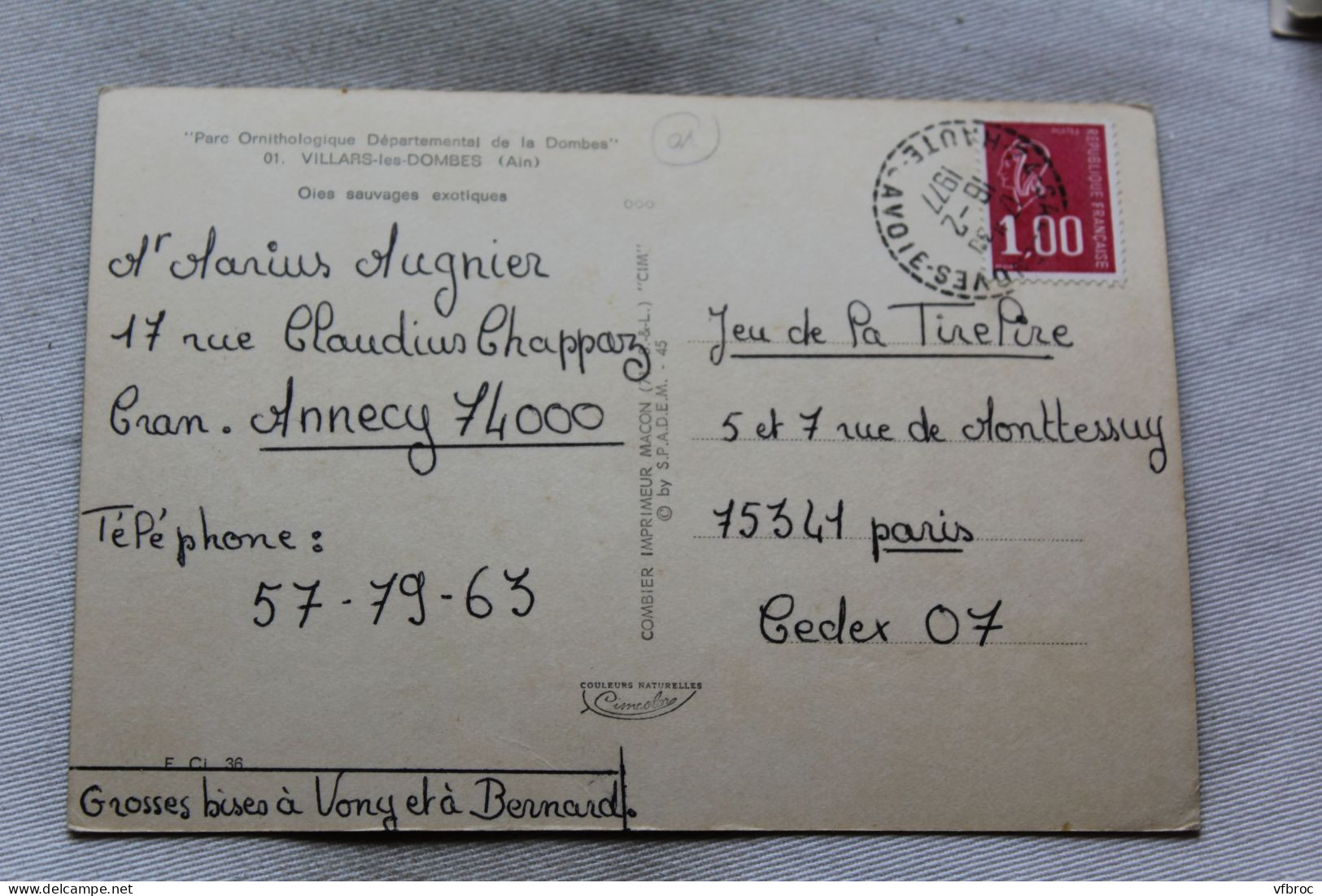 Cpm 19711, Villars Les Dombes, Oies Sauvages Exotiques, Ain 01 - Villars-les-Dombes