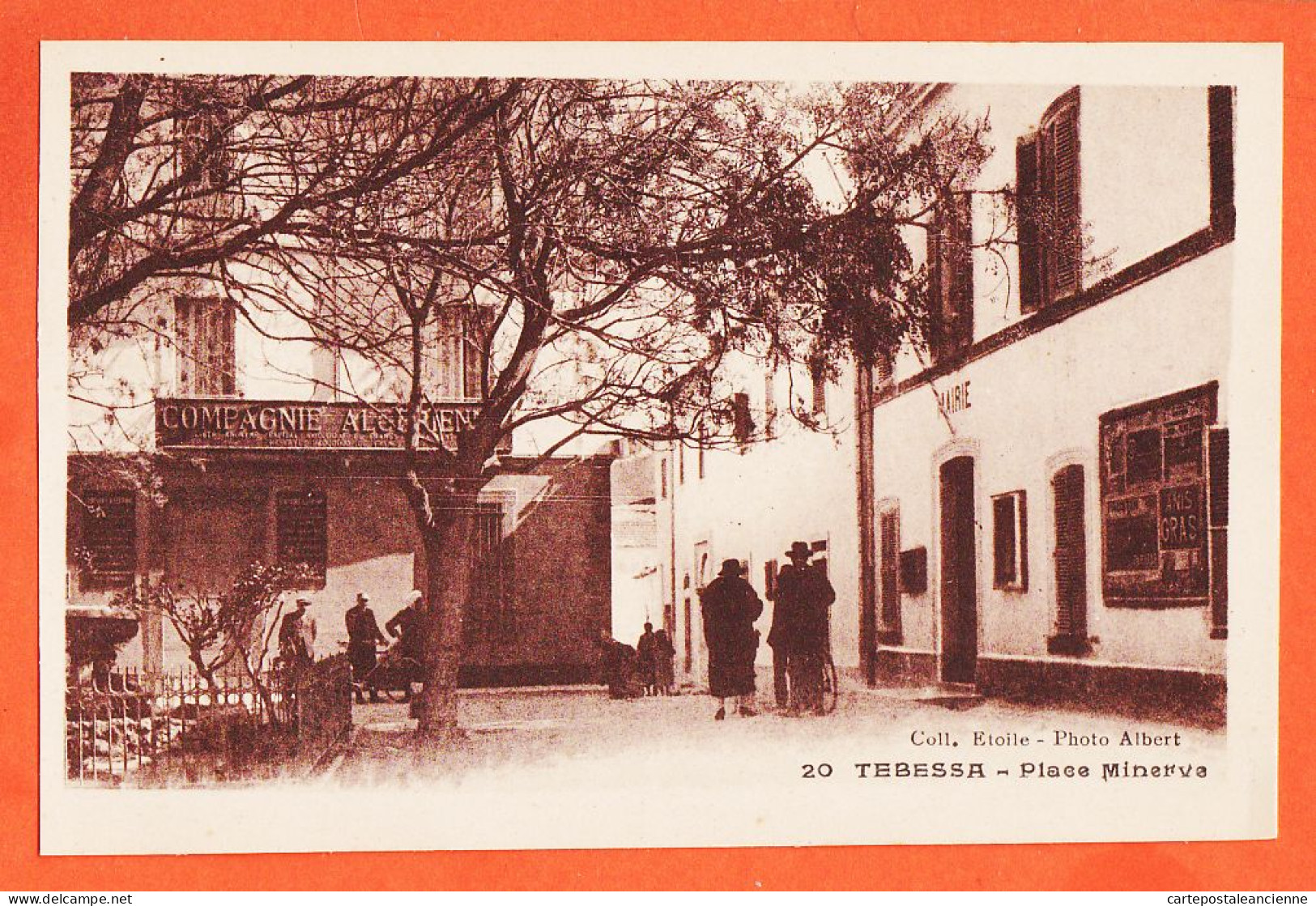 01746 / TEBESSA Algérie Compagnie Algérienne Mairie Place MINERVE 1920s Collection ETOILE Photo ALBERT - Tébessa