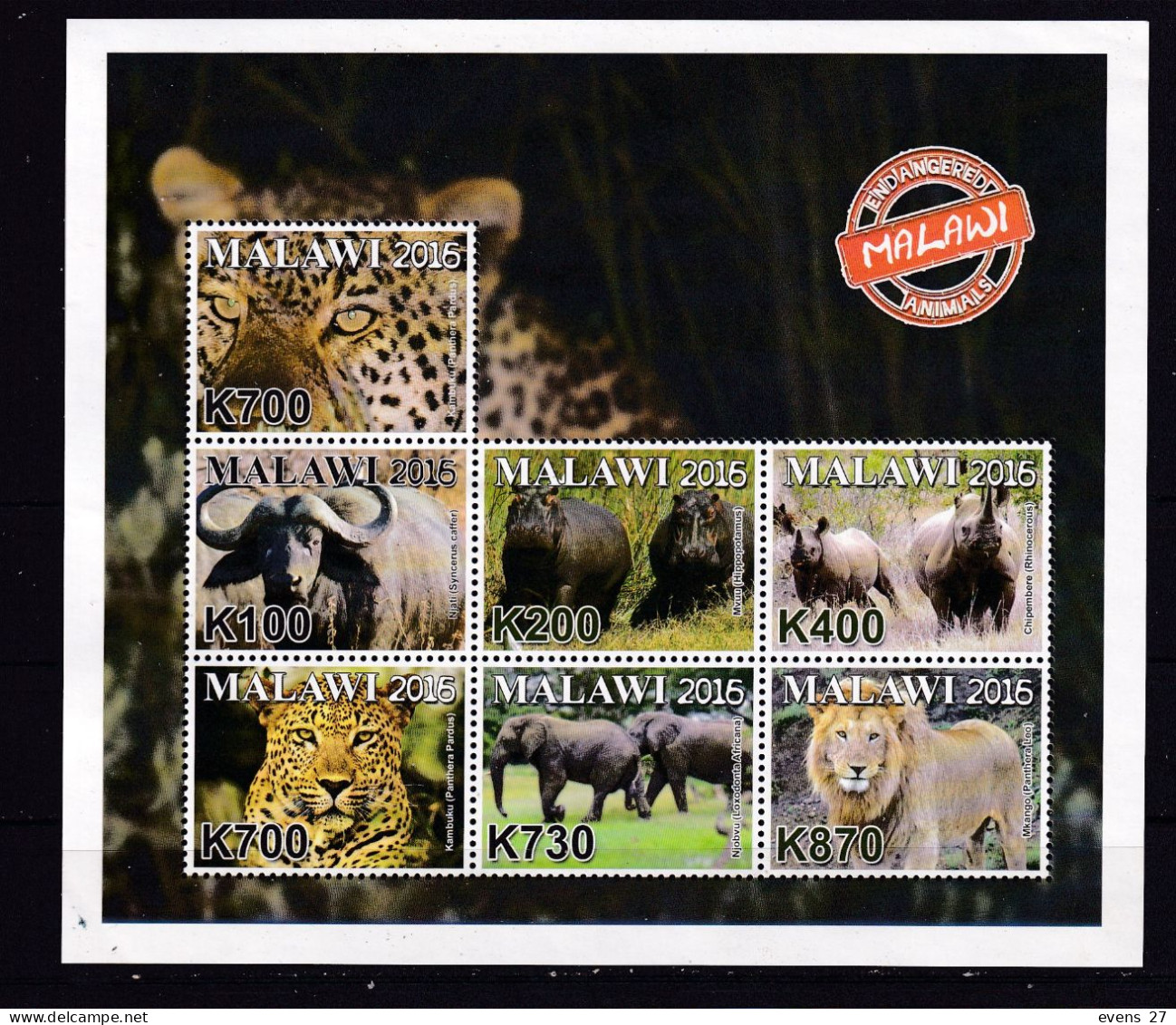 MALAWI-2016-ANIMALS-ELEPHANT-BUFFALO-LION-RHINO-LEOPARD-SHEET -MNH - Malawi (1964-...)