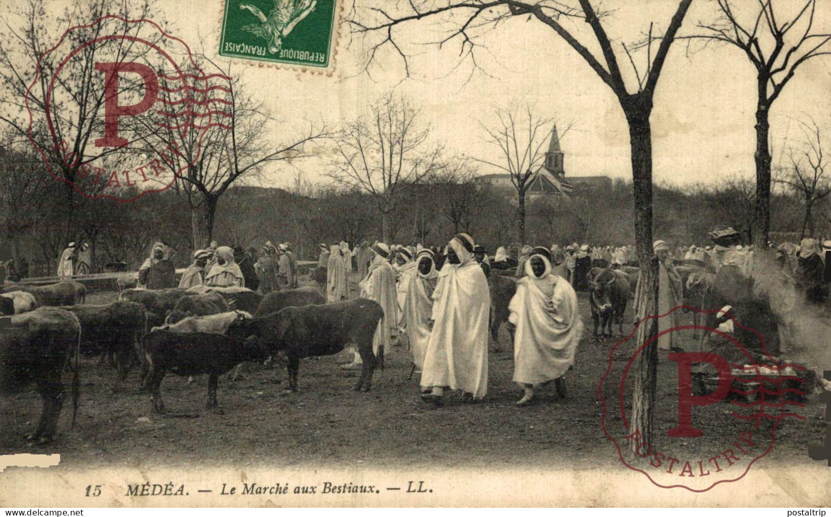 ARGELIA. ALGERIE. Medea Le Marché Aux Bestiaux - Médéa
