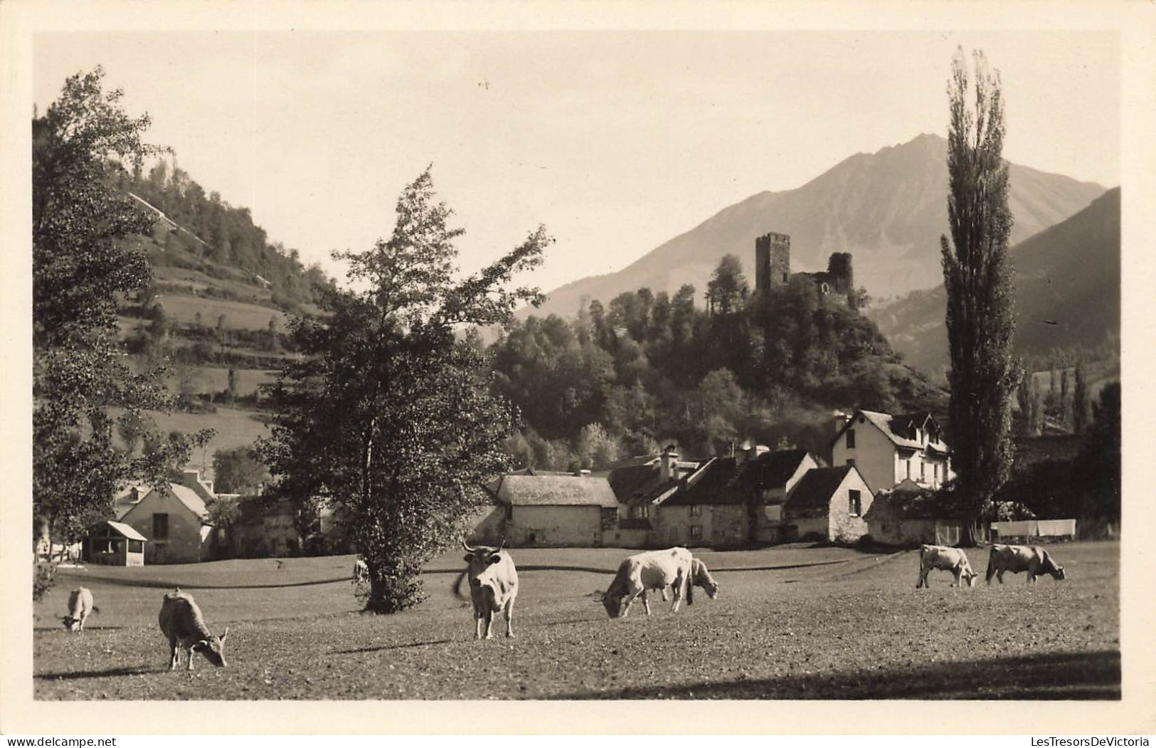 FRANCE - Luz (H P) - Vue Générale Des Ruines Du Château Ste Marie - Carte Postale Ancienne - Luz Saint Sauveur