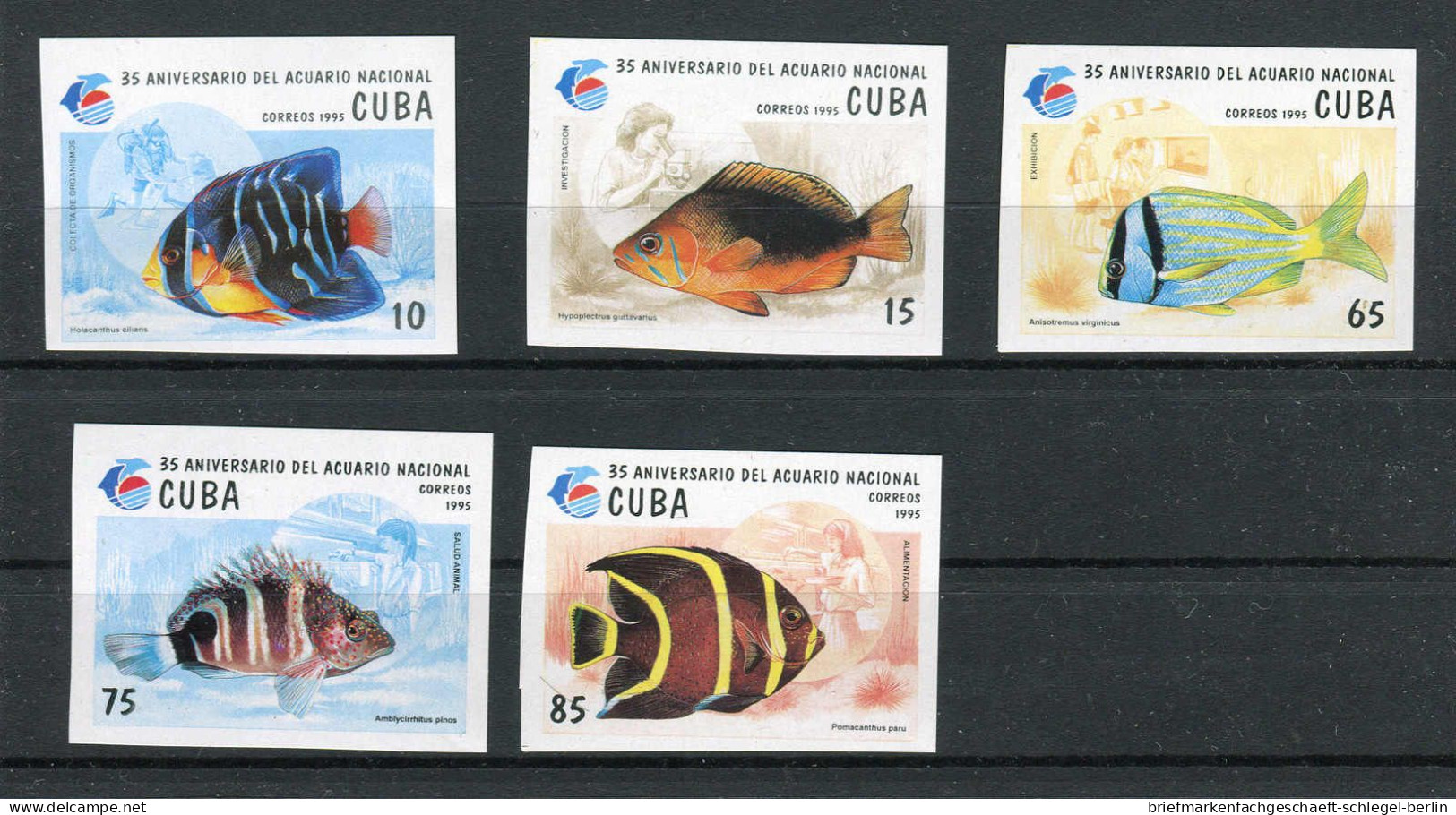 Cuba, 1995, 381-16 U, Ohne Gummi - Cuba