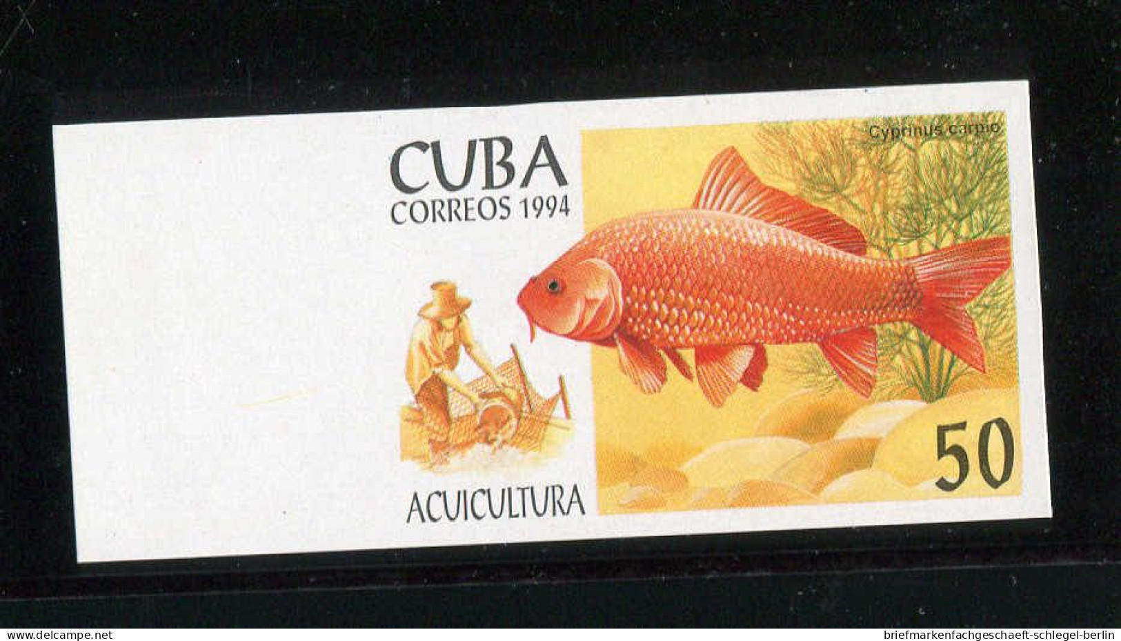 Cuba, 1994, 3749-54 U, Ohne Gummi - Kuba