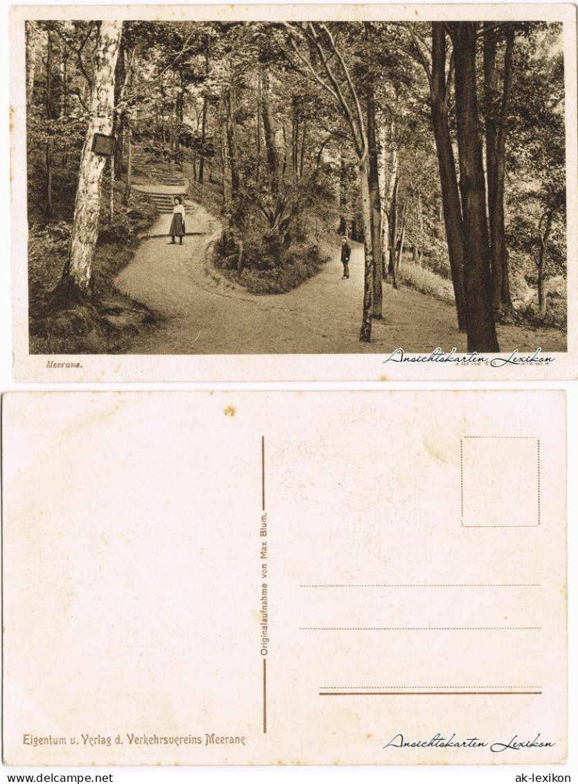 Ansichtskarte Meerane Partie Im Anna-Park 1918 - Meerane