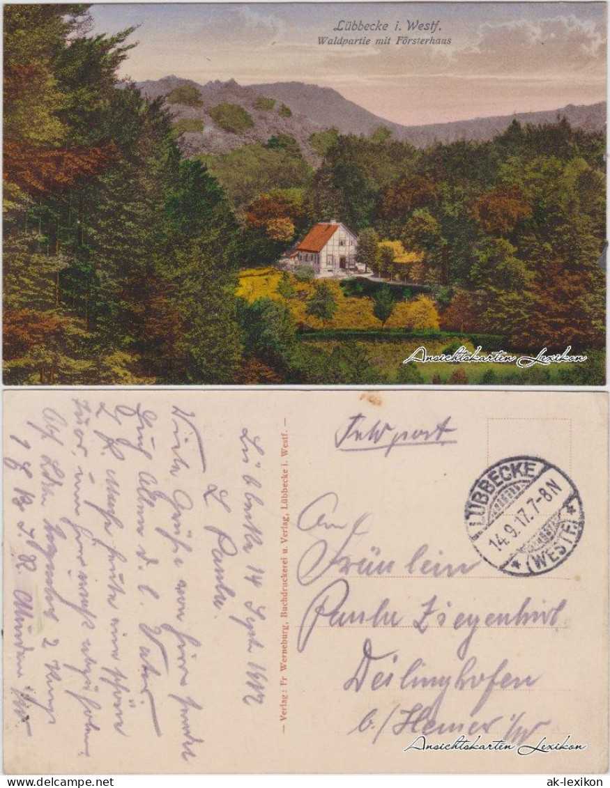Ansichtskarte Lübbecke (Westfalen) Waldpartie Mit Försterhaus 1917  - Lübbecke