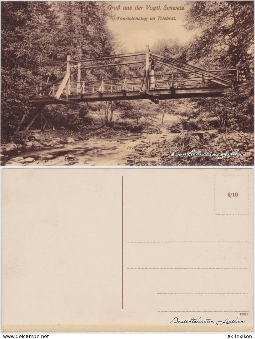Ansichtskarte Pöhl Touristensteg Im Triebtal - Vogtländische Schweiz 1918  - Poehl
