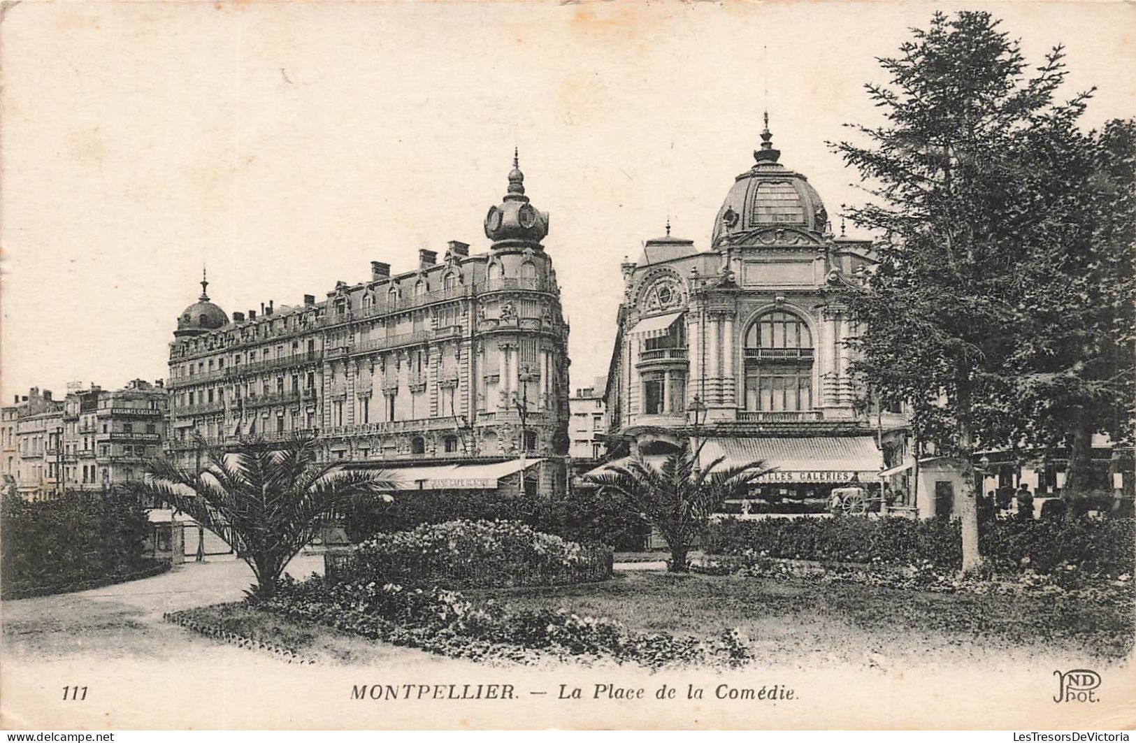 FRANCE - Montpellier - La Place De La Comédie - Carte Postale Ancienne - Montpellier