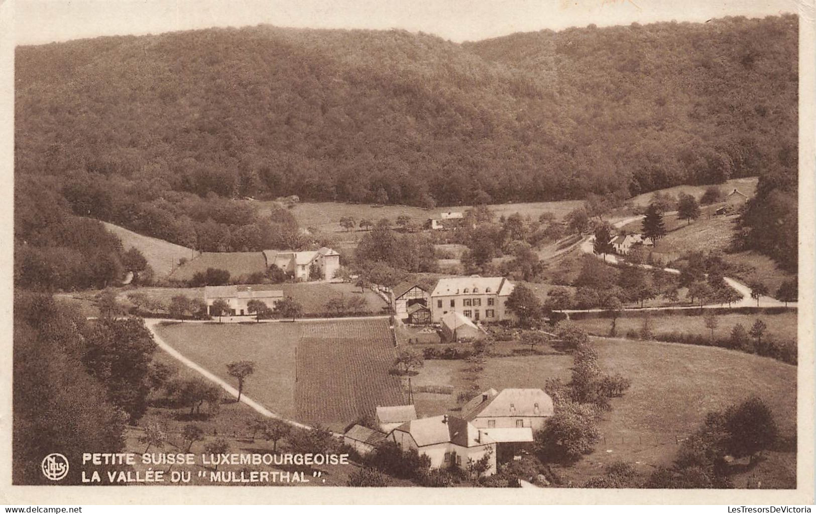 LUXEMBOURG - Muellerthal - Petite Suisse Luxembourgeoise - La Vallée Du "Mullerthal" - Carte Postale Ancienne - Muellerthal