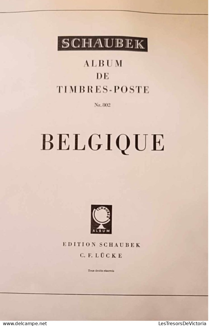Album Pour Timbres De Belgique De 1969 à 1981 - Emplacements Prédéfinis Avec Représentation Des Timbres - Schaubek - Formato Grande, Fondo Blanco
