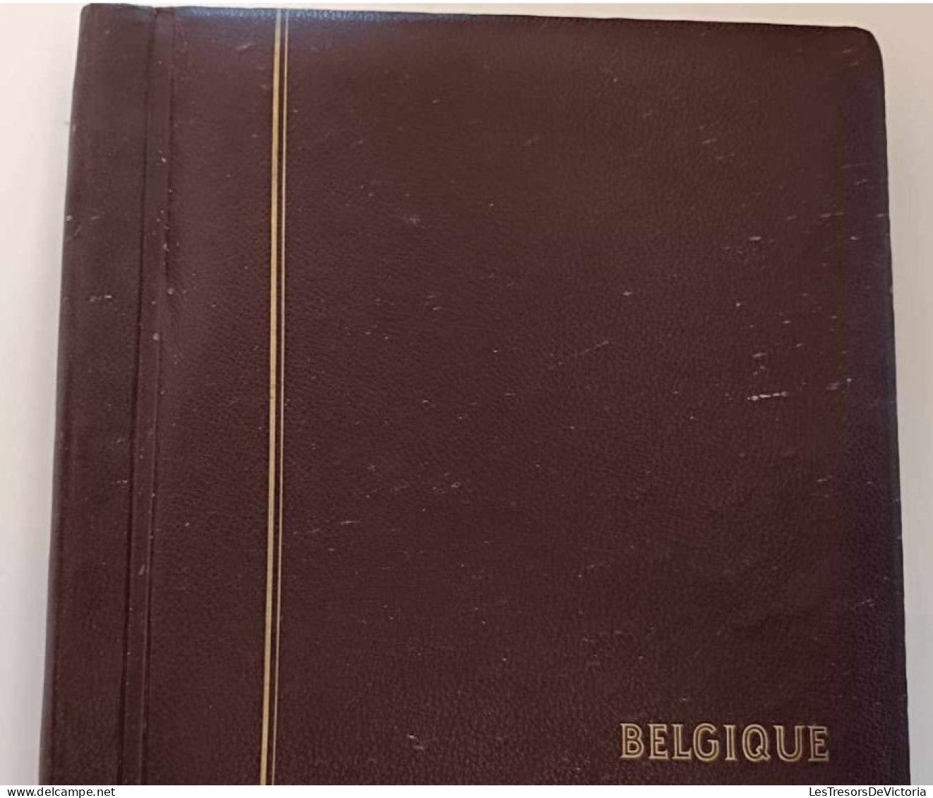 Album Pour Timbres De Belgique De 1969 à 1981 - Emplacements Prédéfinis Avec Représentation Des Timbres - Schaubek - Formato Grande, Sfondo Bianco