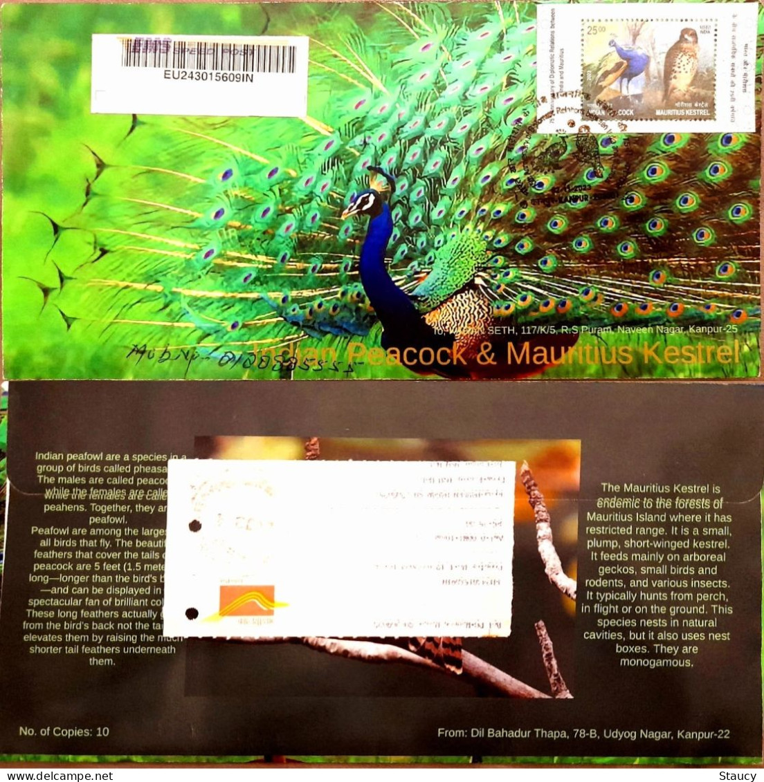 India 2023 India – Mauritius Joint Issue Souvenir Special FIRST DAY COVER FDC Registered Speed Post Postal Used Per Scan - Briefe U. Dokumente