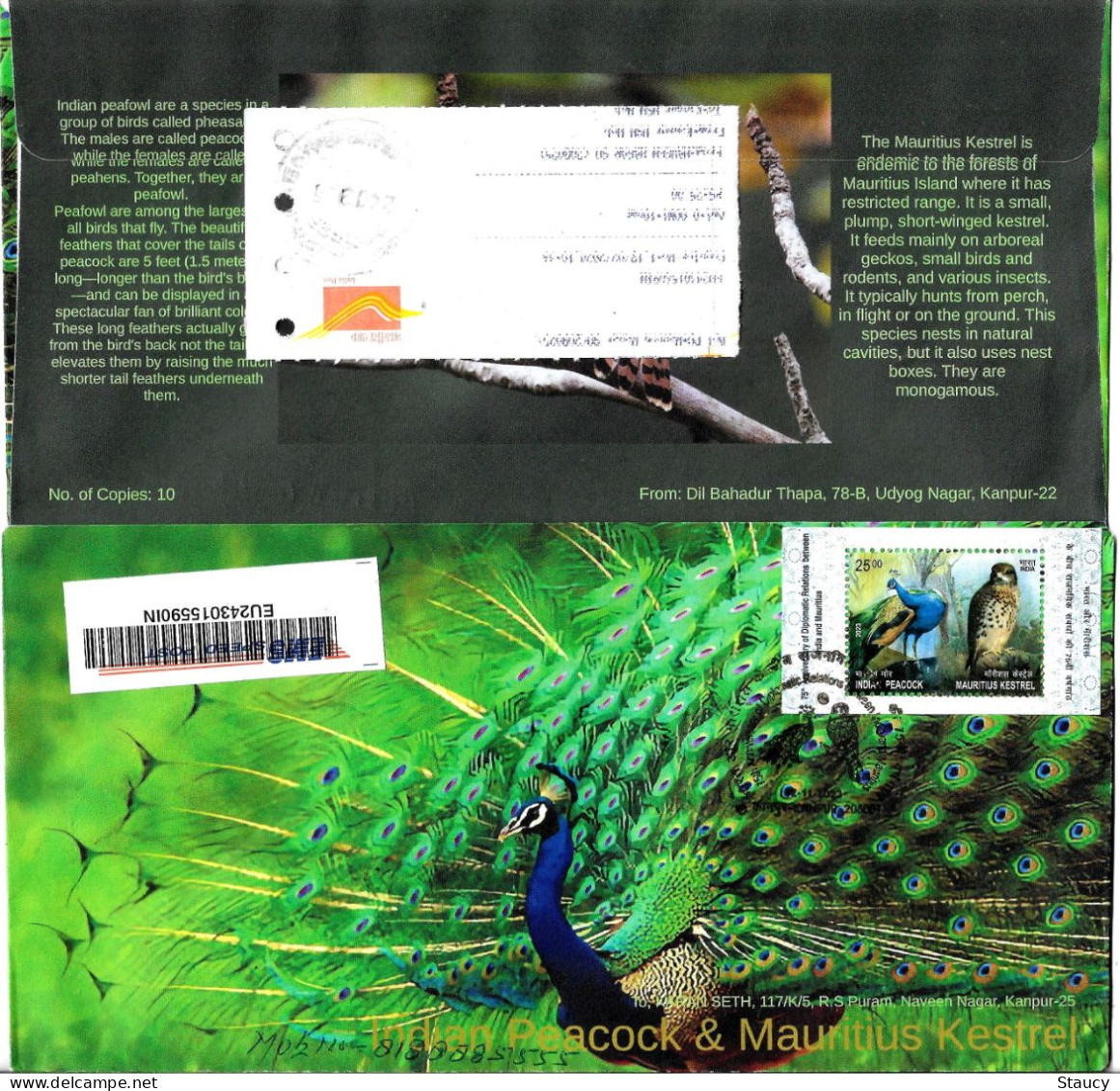 India 2023 India – Mauritius Joint Issue Souvenir Special FIRST DAY COVER FDC Registered Speed Post Postal Used Per Scan - FDC
