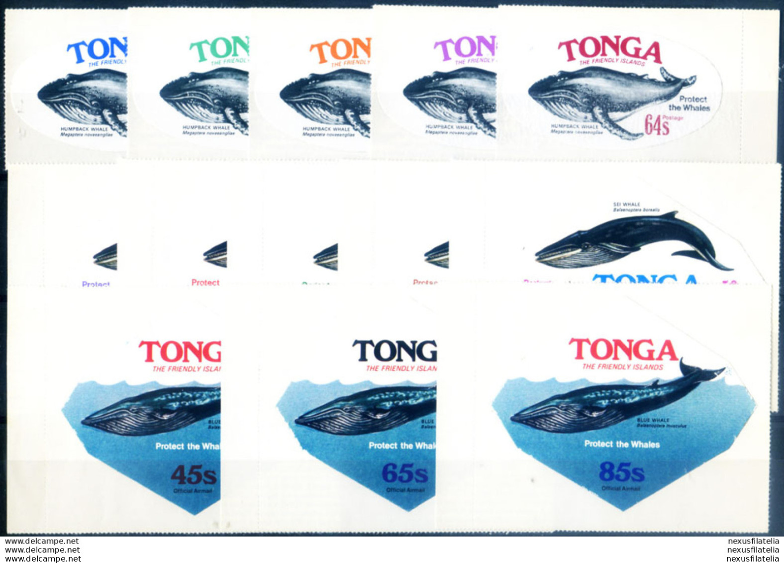 Fauna. Protezione Dei Cetacei 1977. - Tonga (1970-...)