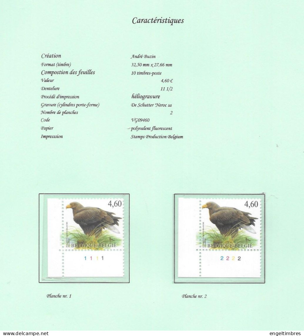 Belgium -  2009 BUZIN Birds -  ZEEAREND    Plaatnummers 1 & 2   Postfris - Zie Scan - 2011-..