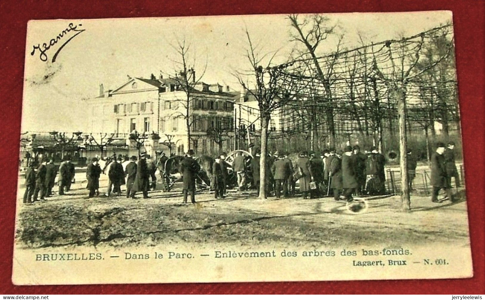 BRUXELLES  -    Enlèvement Des Arbres Et Des Bas-fonds - Dans Le Parc    -  1905 - Forêts, Parcs, Jardins