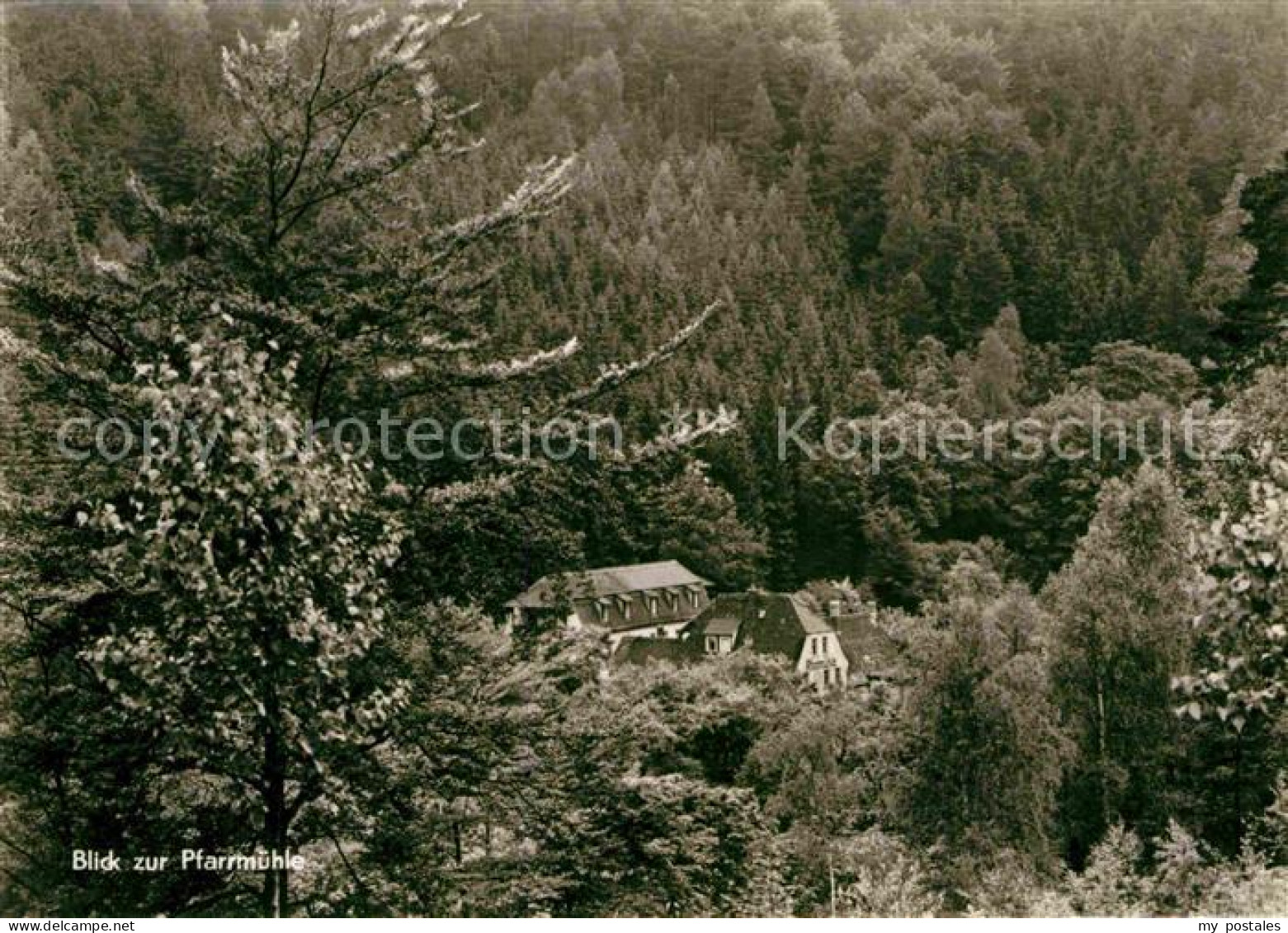 72729592 Bad Klosterlausnitz Pfarrmuehle Im Muehltal Bad Klosterlausnitz - Bad Klosterlausnitz