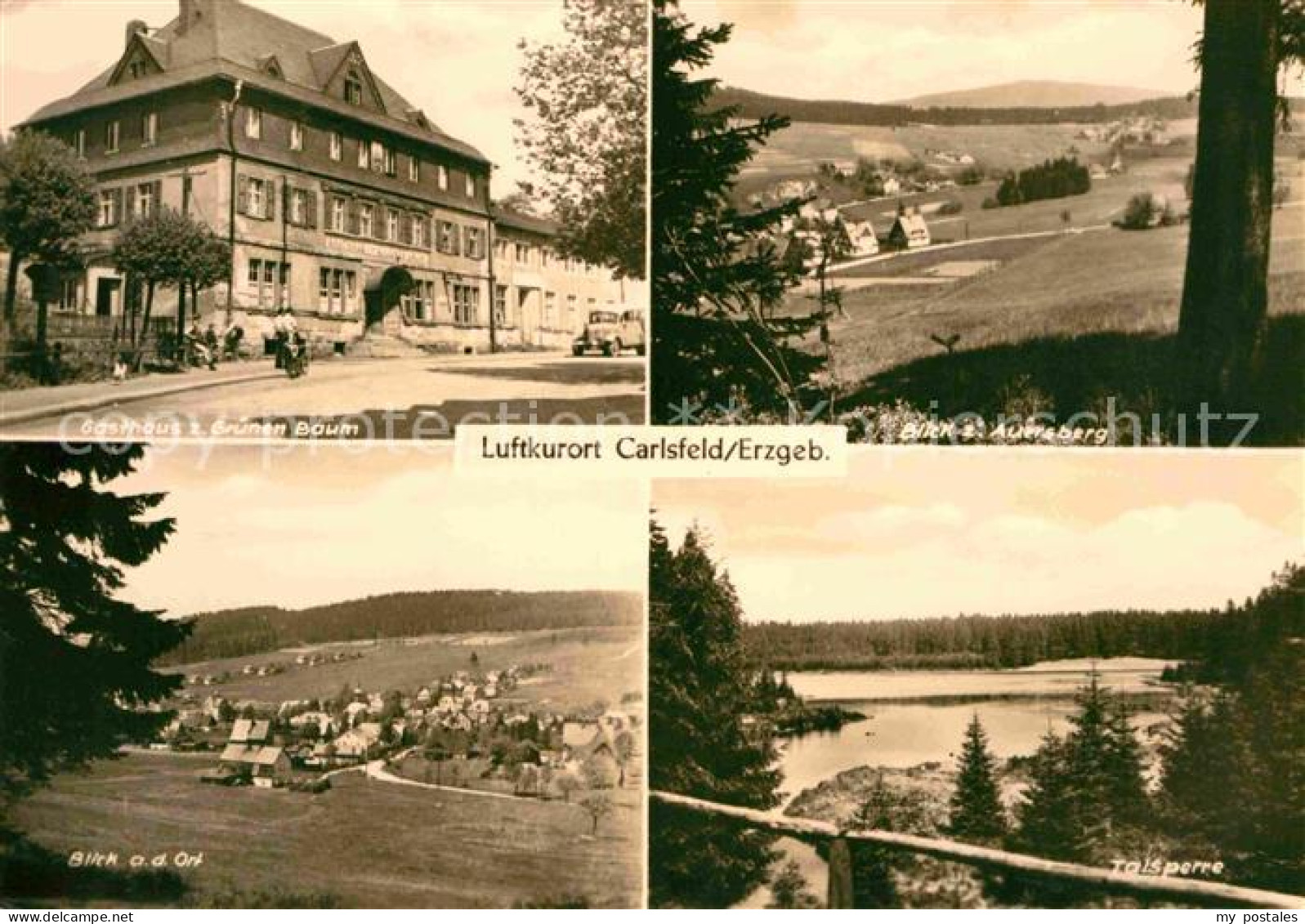 72729412 Carlsfeld Erzgebirge Gasthaus Zum Gruenen Baum Auersberg Talsperre  Eib - Eibenstock