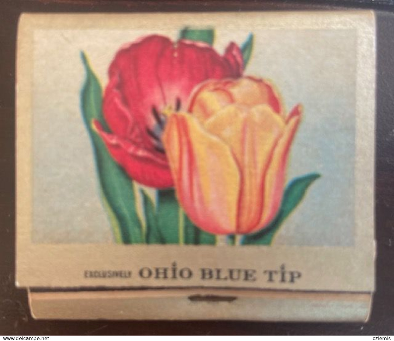 OHIO BLUE  TIP MATCH ,EXCLUSIVELY,1955 - Boites D'allumettes - Etiquettes