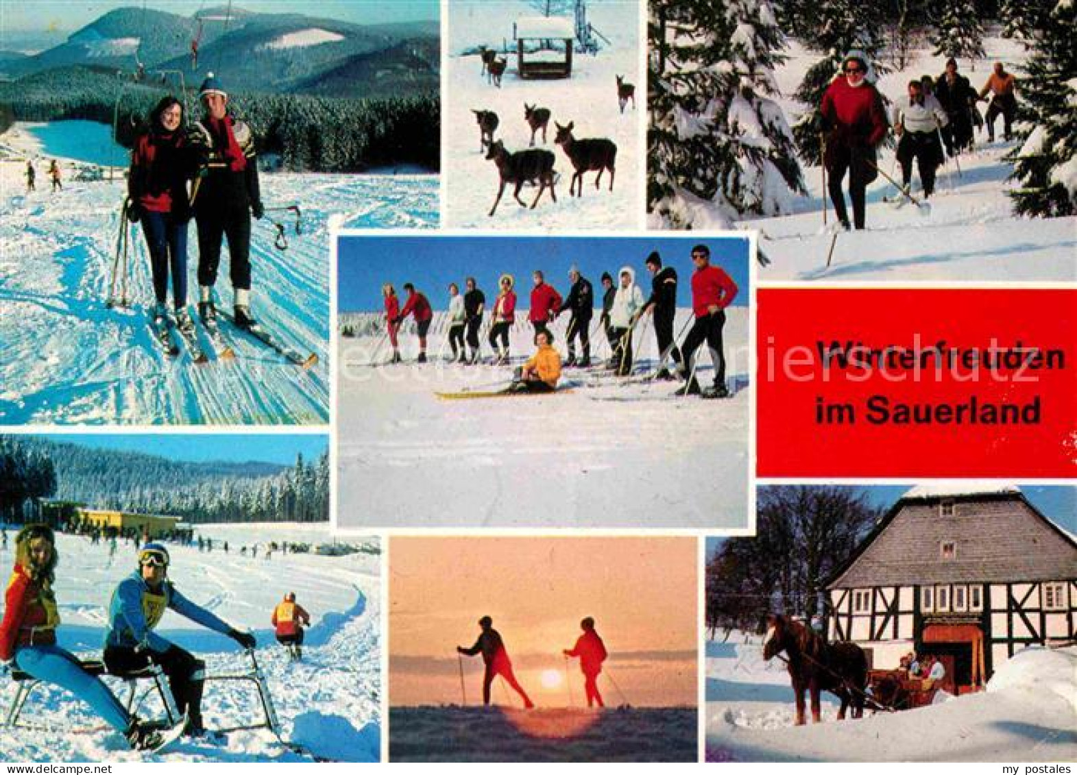 72728901 Sundern Sauerland Gasthaus Pension Franz Steinberg Skipiste Pferdeschli - Sundern